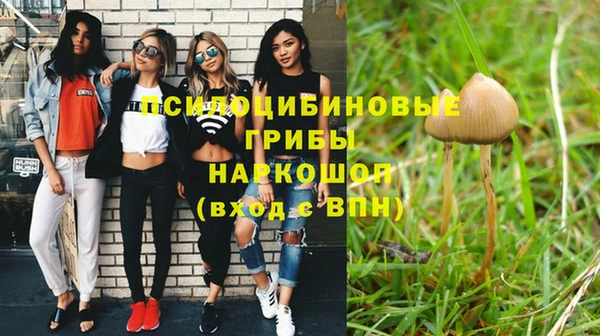 спиды Вязьма