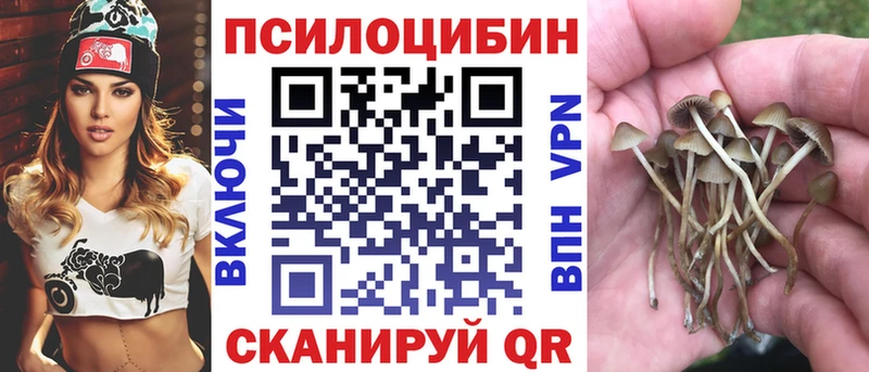 Купить  Анжеро-Судженск  Псилоцибиновые грибы ЛСД 